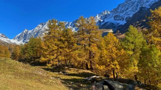 Lötschental Rando 2021