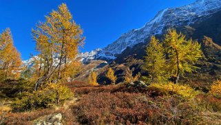 Lötschental Rando 2021