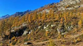 Lötschental Rando 2021