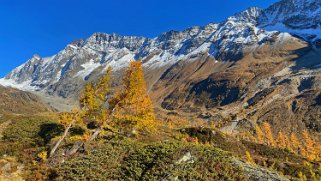 Lötschental Rando 2021