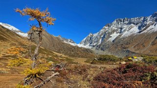 Lötschental Rando 2021