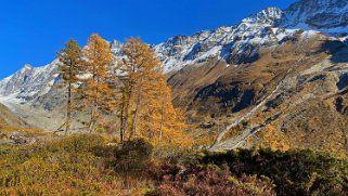 Lötschental Rando 2021