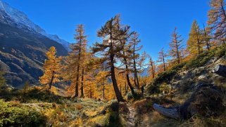 Lötschental Rando 2021