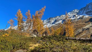 Lötschental Rando 2021