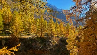 Lötschental Rando 2021