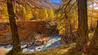 Lötschental Rando 2021