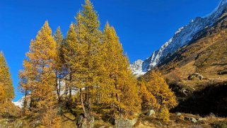 Lötschental Rando 2021