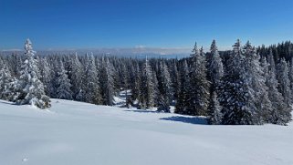 Col du Marchairuz - Grand Cunay Rando 2021