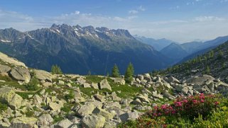 Plan de l'Aiguille Rando 2021