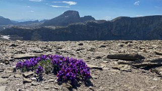 Arête de l'Arpille Rando 2021