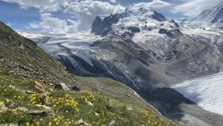 Gornergrat - Gornerglescher - Pointe Dufour 4634 m Rando 2021