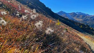 Nava - Val d'Anniviers Rando 2021