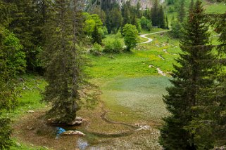 Haut-de-Caux - Col de Jaman Rando 2022