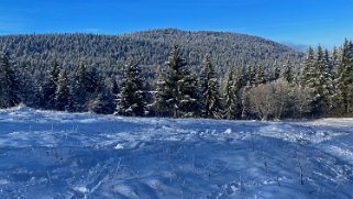 Combe de la Neige Rando 2022