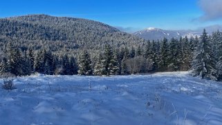 Combe de la Neige Rando 2022