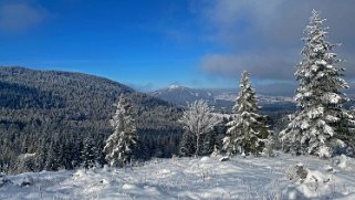 Combe de la Neige Rando 2022