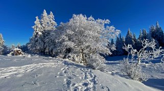 Croix de Châtel 1432 m Rando 2022