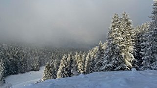 Combe de la Neige Rando 2022