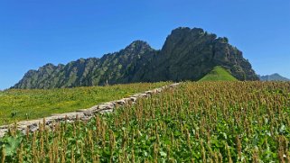 Les Arpilles Rando 2022