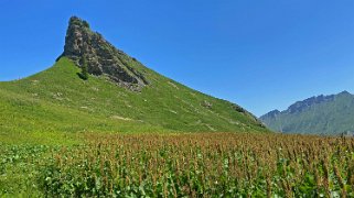 Les Arpilles Rando 2022