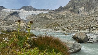 Tiefengletscher Rando 2022