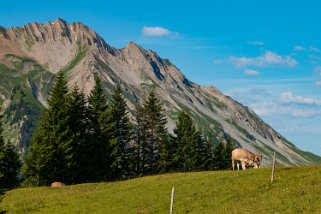 Glaubenbielen - Glaubenberg Rando 2022