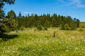 Glaubenbielen - Glaubenberg Rando 2022