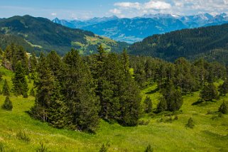 Glaubenbielen - Glaubenberg Rando 2022