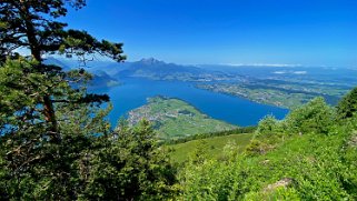 Rigi Rando 2022