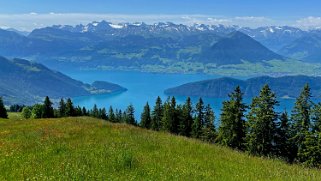 Rigi Rando 2022