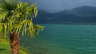 Lac des Quatre-Cantons - Gersau Rando 2022