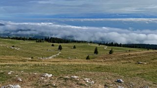 Le Chasseron 1607 m Rando 2022