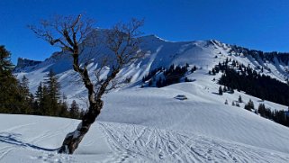 La Dent de Lys 2014 m Rando 2022