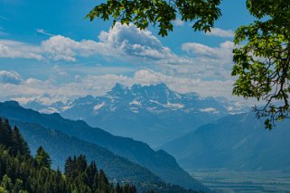 Les Pléiades - Haut-de-Caux Rando 2022