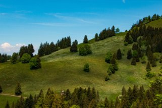 Les Pléiades - Haut-de-Caux Rando 2022