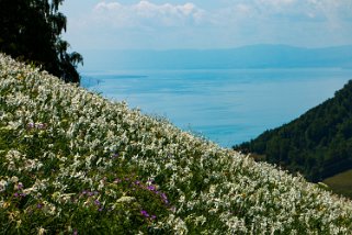 Nermont - Haut-de-Caux Rando 2022