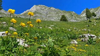 Les Siernes Picaz - Les Marindes Rando 2022