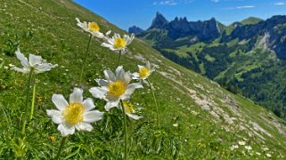 Les Siernes Picaz - Les Marindes Rando 2022