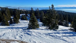 Col du Marchairuz - Servan Rando 2022