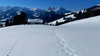 Schönried - Planihubel Rando 2022