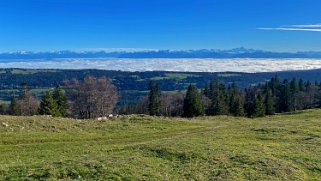 Dent de Vaulion 1483 m Rando 2022