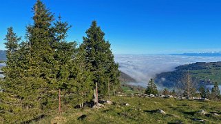 Dent de Vaulion 1483 m Rando 2022