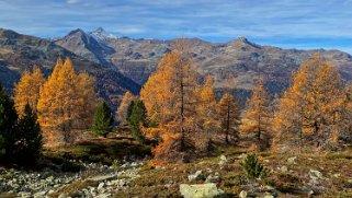 Val d'Anniviers Rando 2022