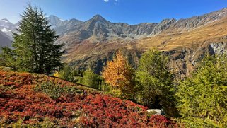 L'Arpitettaz - Val d'Anniviers Rando 2023