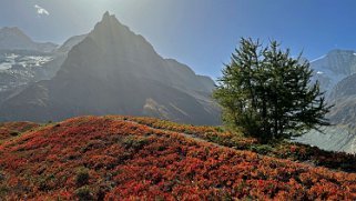 Le Besso 3669 m - Val d'Anniviers Rando 2023