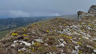 Chasseral Rando 2023