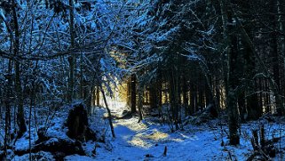 Combe de la Neige Rando 2023