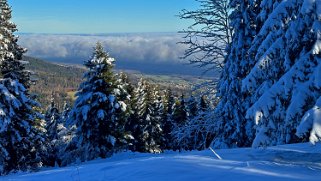 Combe de la Neige Rando 2023