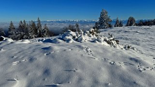 Combe de la Neige Rando 2023