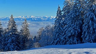 Combe de la Neige Rando 2023